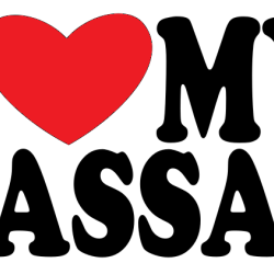 I love my Passat I love my Passat